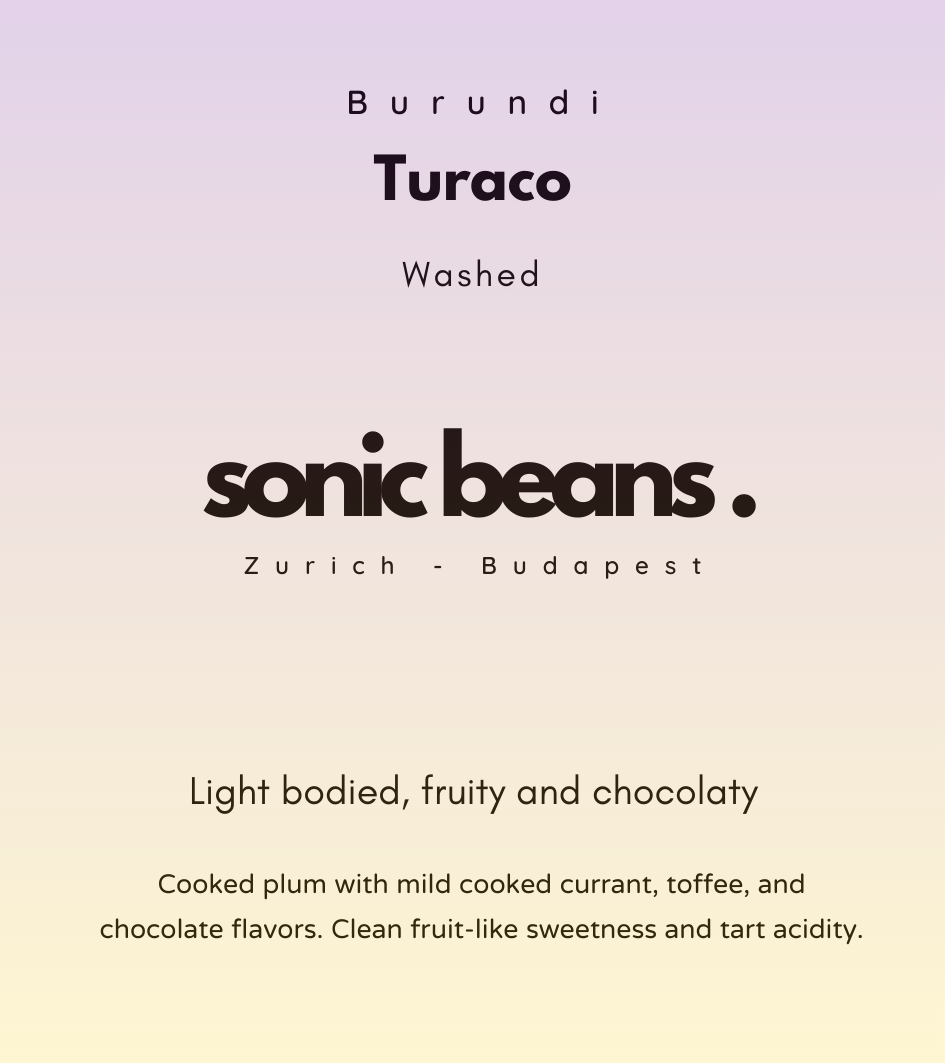 Specialty kávé világos pörkölés kézműves - Sonic Beans